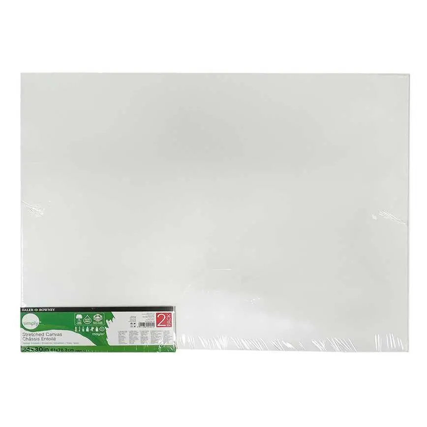 Daler Rowney Stretched Canvas 2 Pk. 24" X 30" 1
