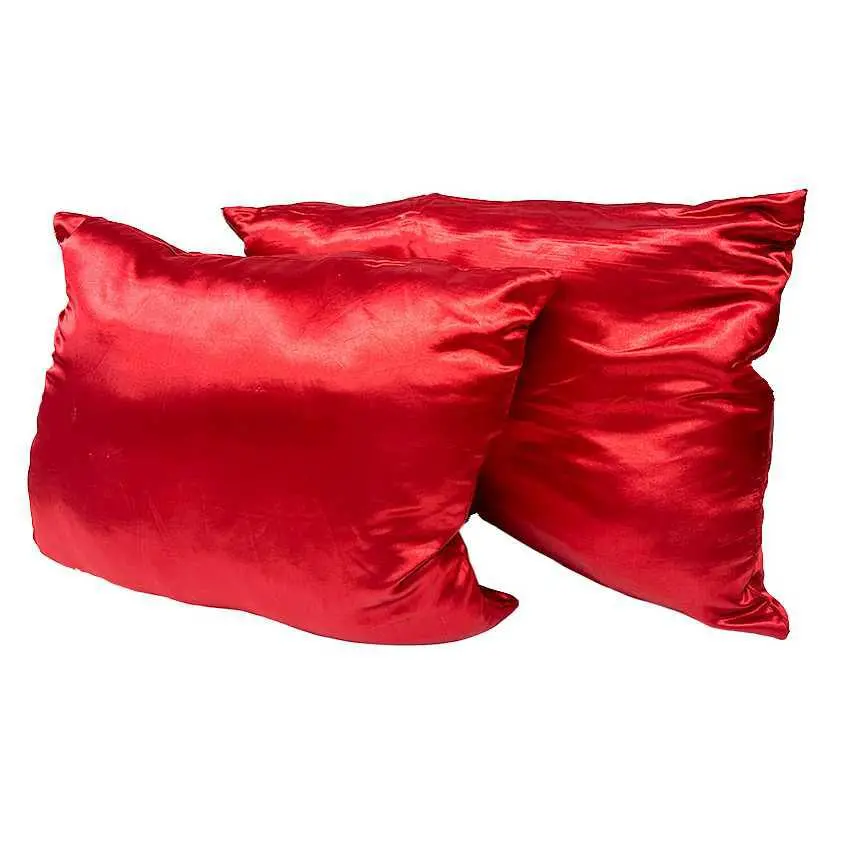Us Polo Association Satin Bed Pillows 2 Pk. 1