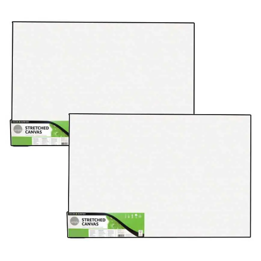 Daler Rowney Stretched Canvas 2 Pk. 11" X 14" 1