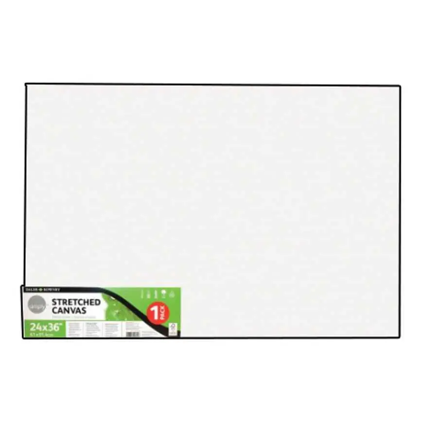 Daler Rowney Stretched Canvas 24" X 36" 1