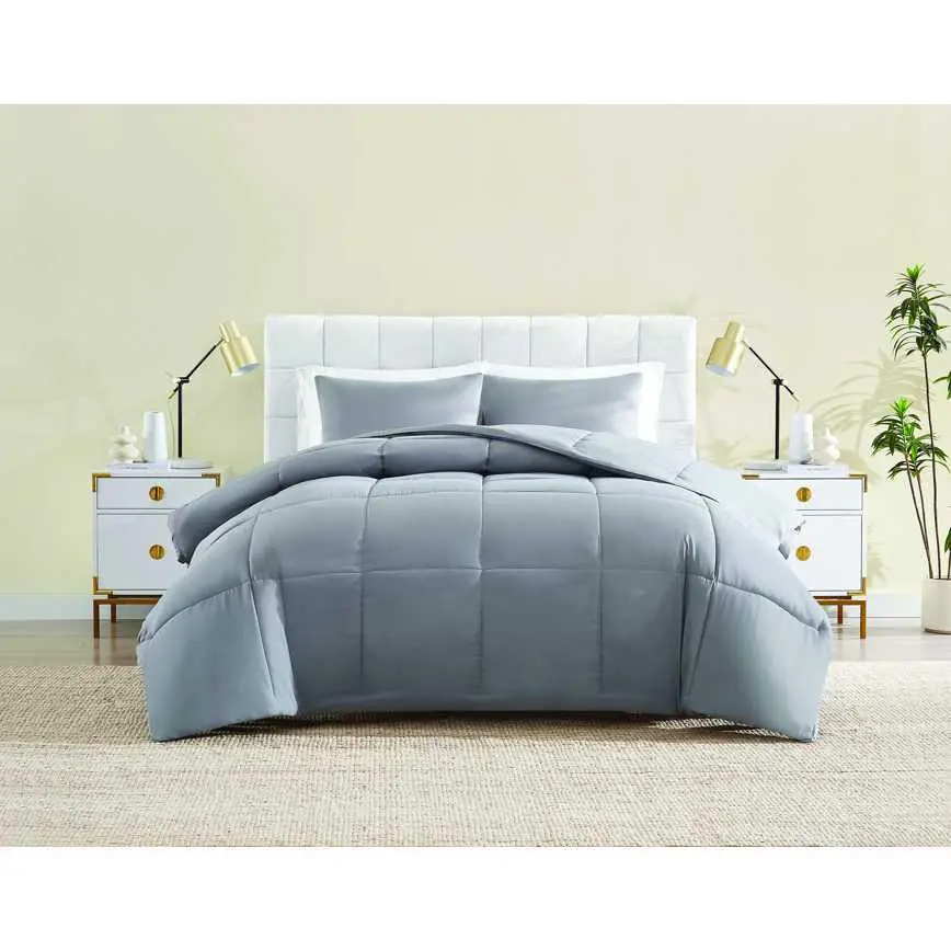 Day To Day Down Alternative Mini Comforter Set 1