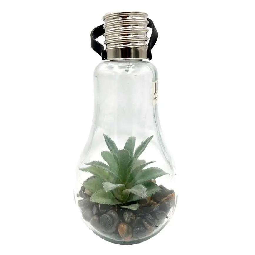 Hanging Lightbulb Terrarium 1