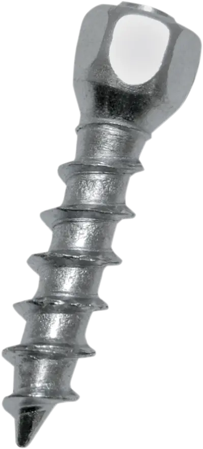 Woody's Twist Tire Screws - 25 Mm - 100 Pack Wst-0625-100 1