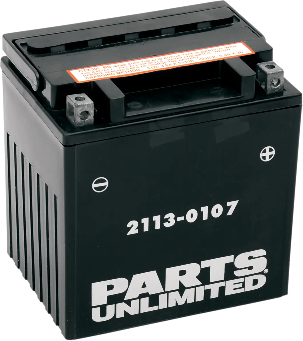 Parts Unlimited Agm Battery - Yix30l-Bs Ctx30l-Bs 1