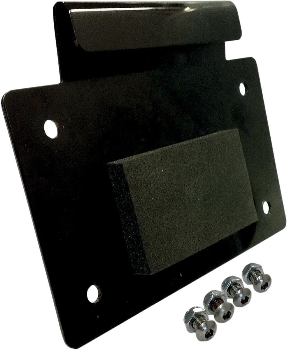 Alloy Art License Plate Mount 2
