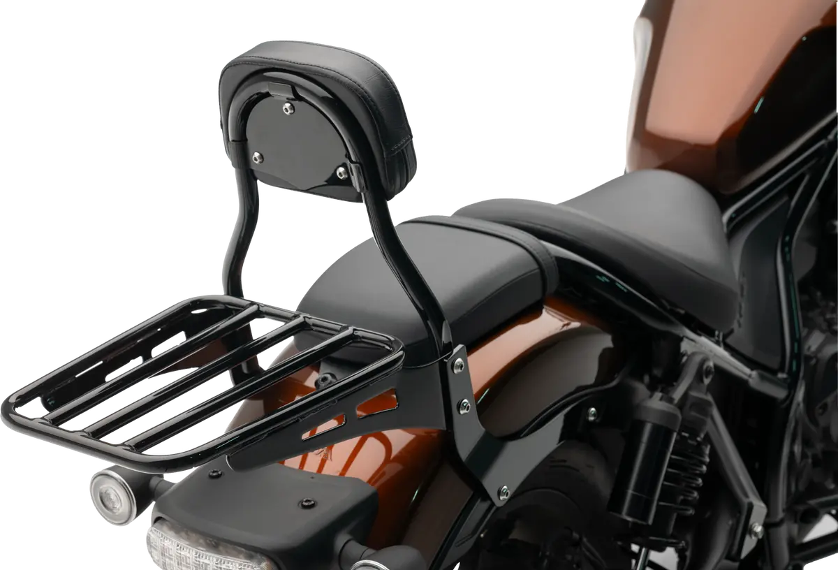Cobra Mini Sissy Bar W/Pad 23