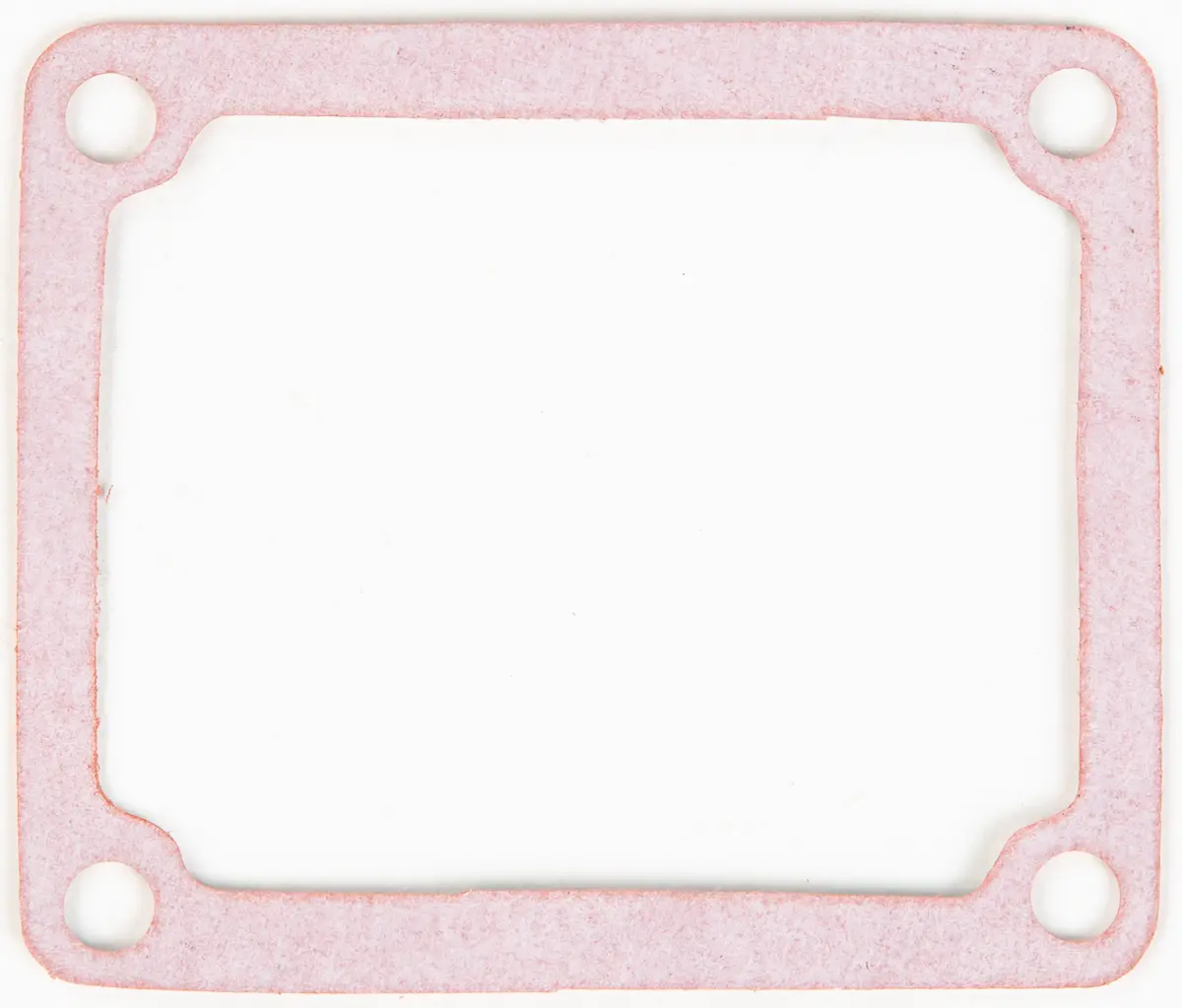 Motorcycle Rad Gasket 1
