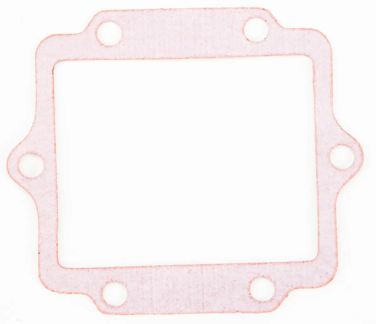Motorcycle Rad Gasket 1