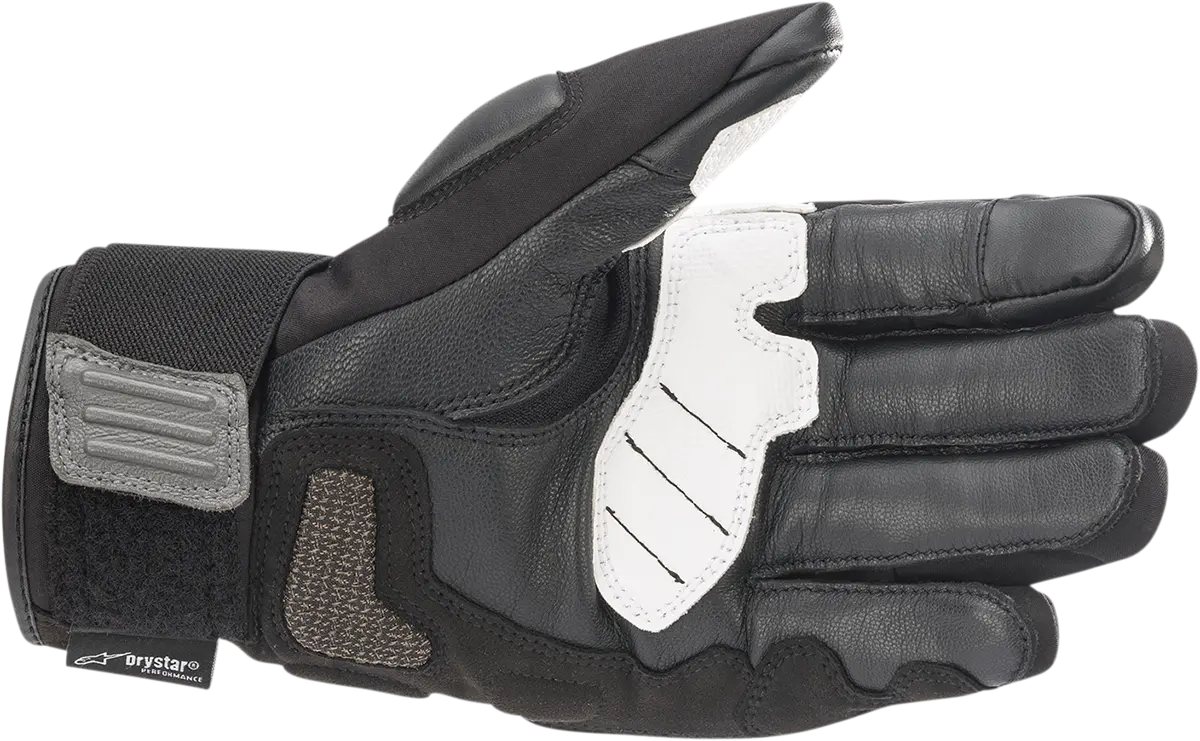 Alpinestars Corozal V2 Drystar® Gloves 12