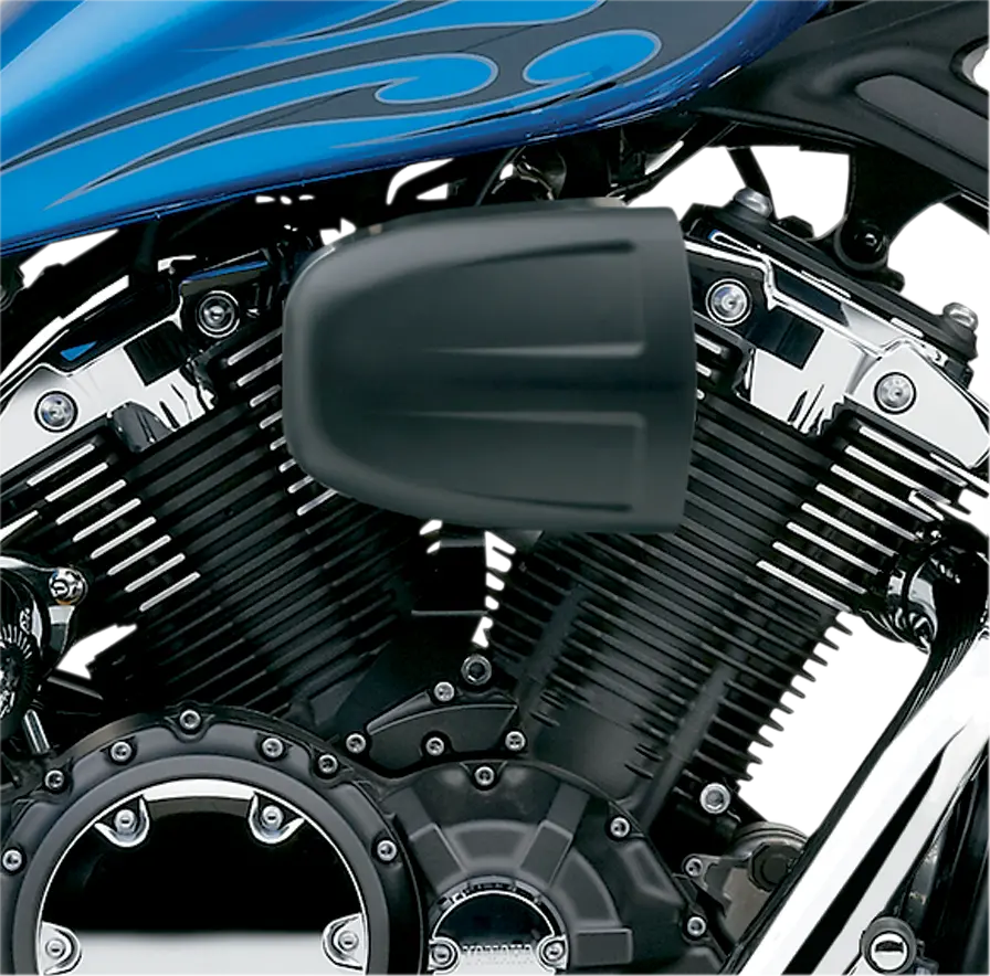 Cobra Air Cleaner Kit 31