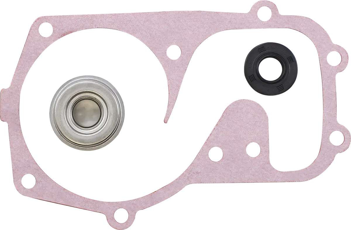 Vertex Water Pump Repair Kit - Polaris 721310 1