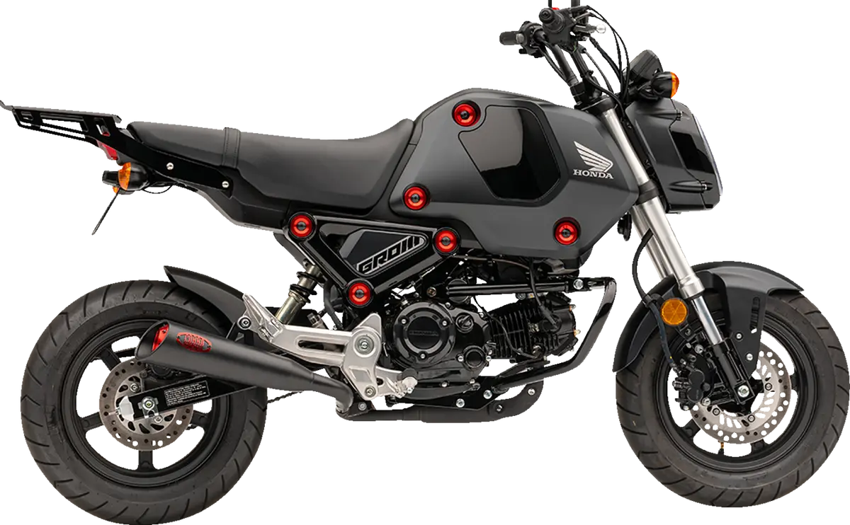 Cobra Solo Luggage Rack And Mounts 22