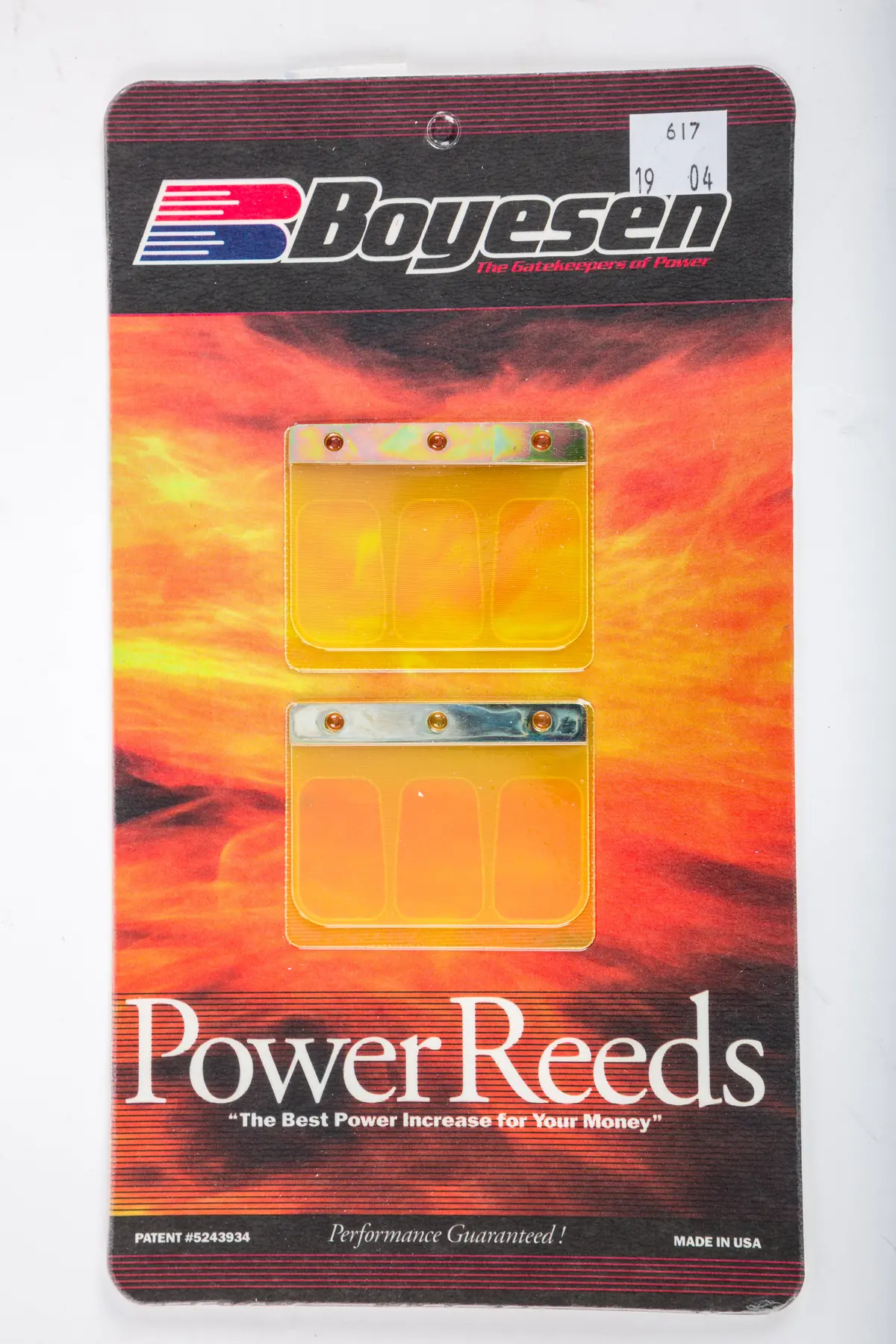 Motorcycle Reeds 1