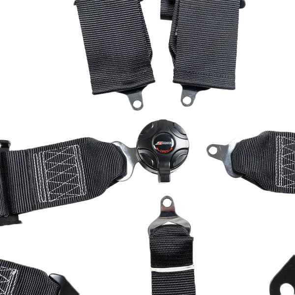 3" 5 Point Cam Lock Harness 2