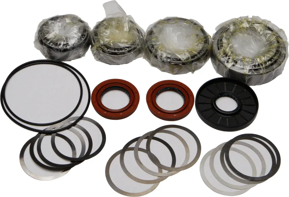 Differential Bearing And Seal Kit 10