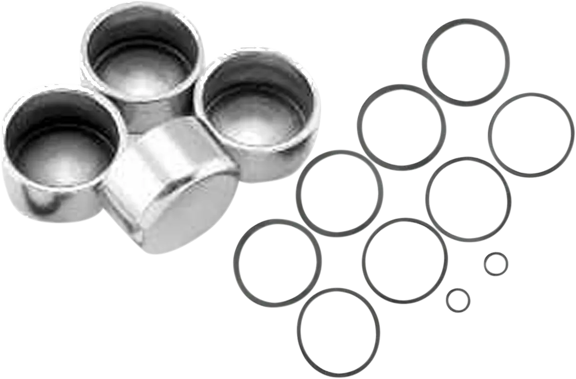 Cycle Craft Caliper Seals & Pistons 19143M 1
