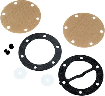 Fuel Pump Repair Kit Dual 1