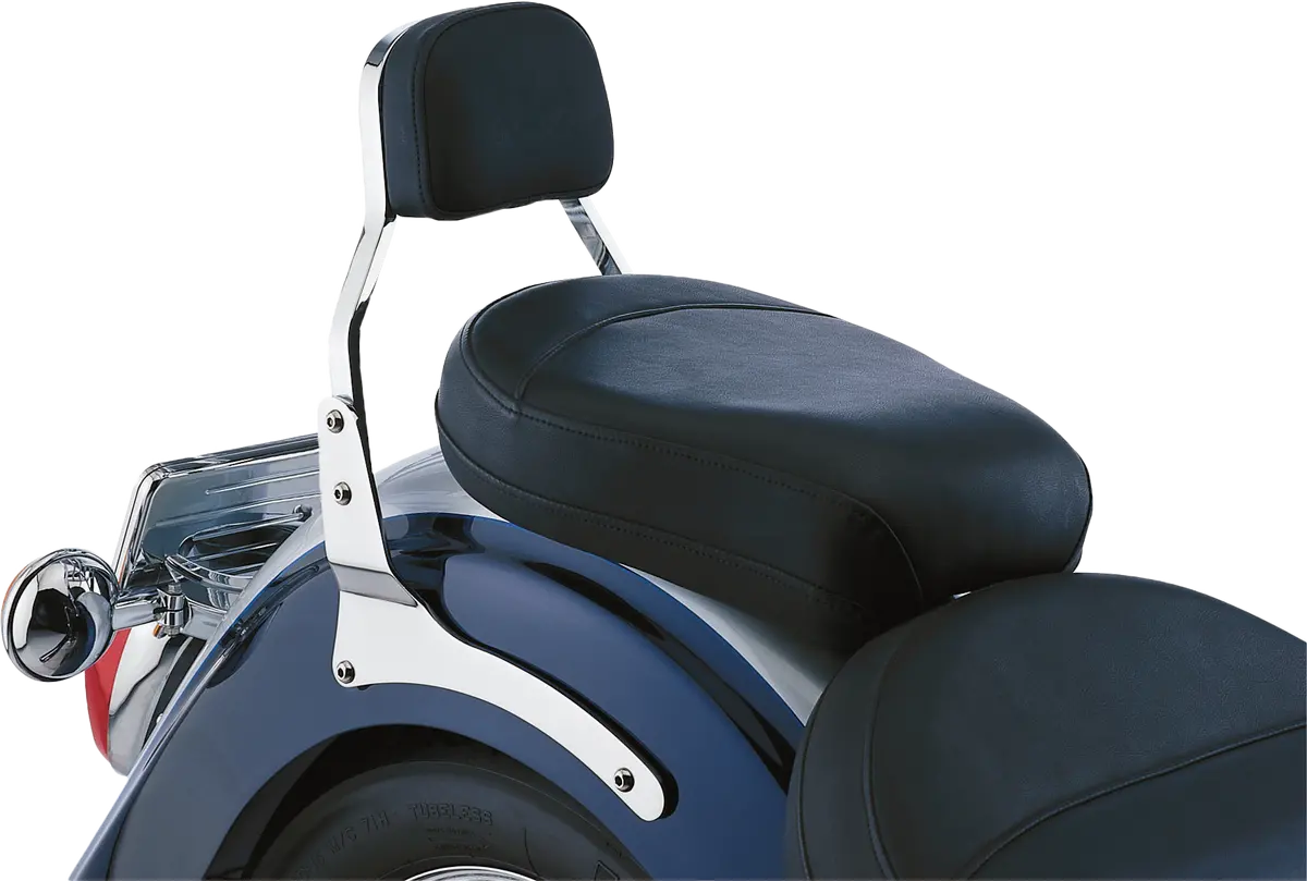 Cobra Mini Sissy Bar W/Pad 9