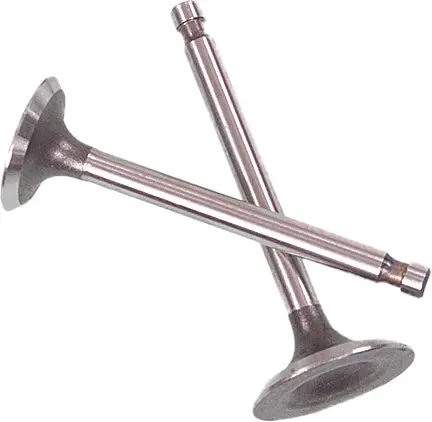 Valve Set Trx350 Rancher 00 06 1