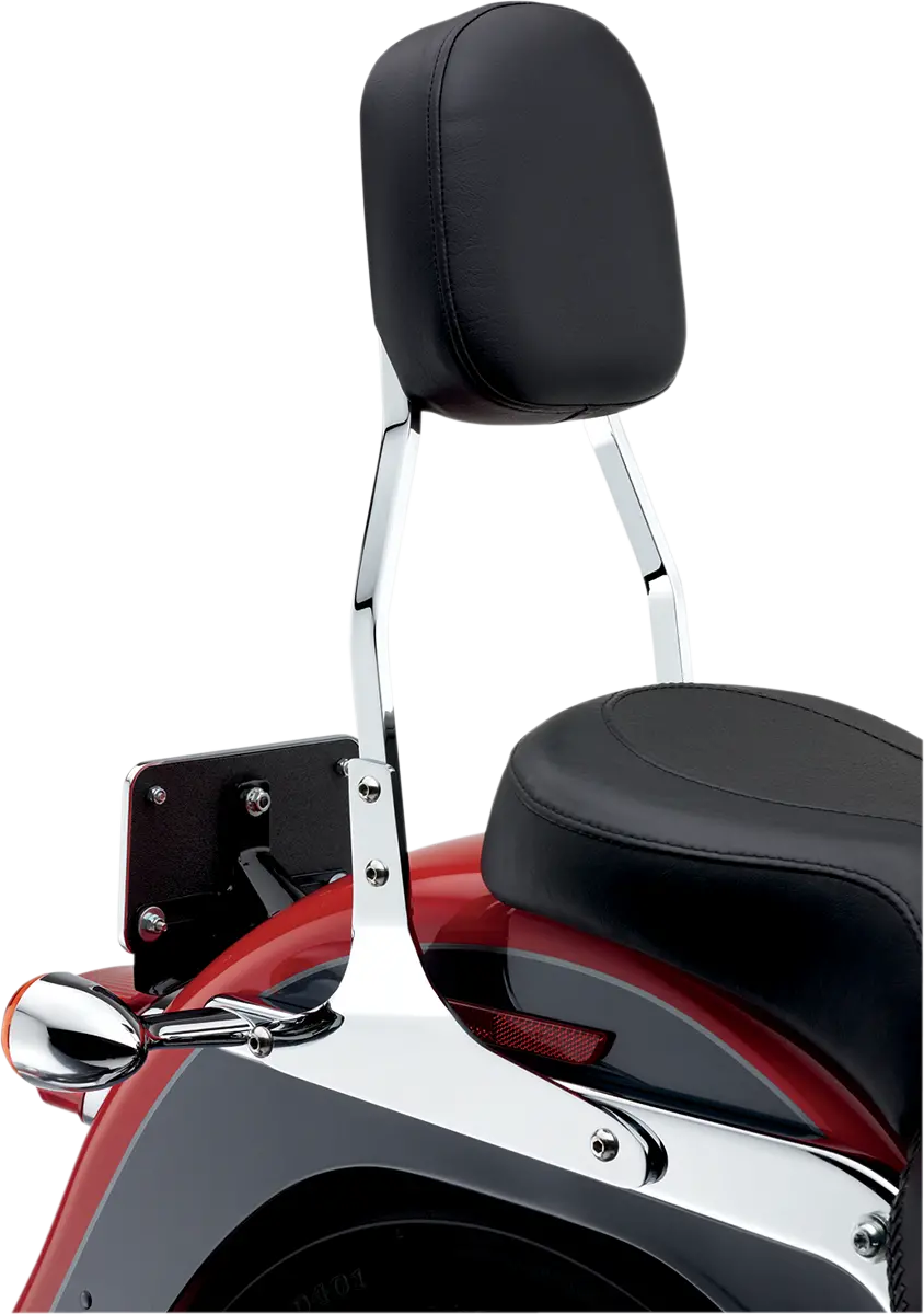 Cobra Standard Sissy Bar 1