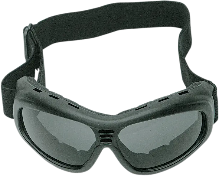 Bobster Touring Ii Goggle 1