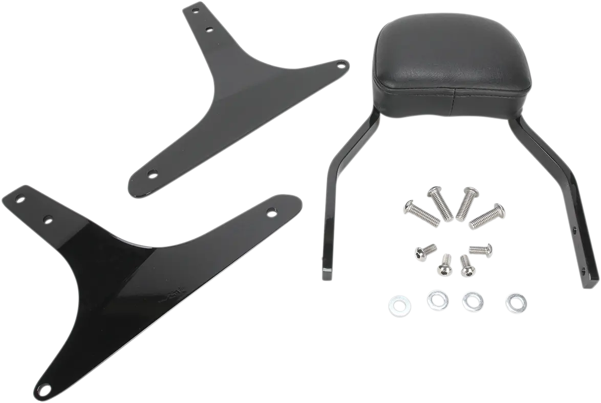 Cobra Mini Sissy Bar 6