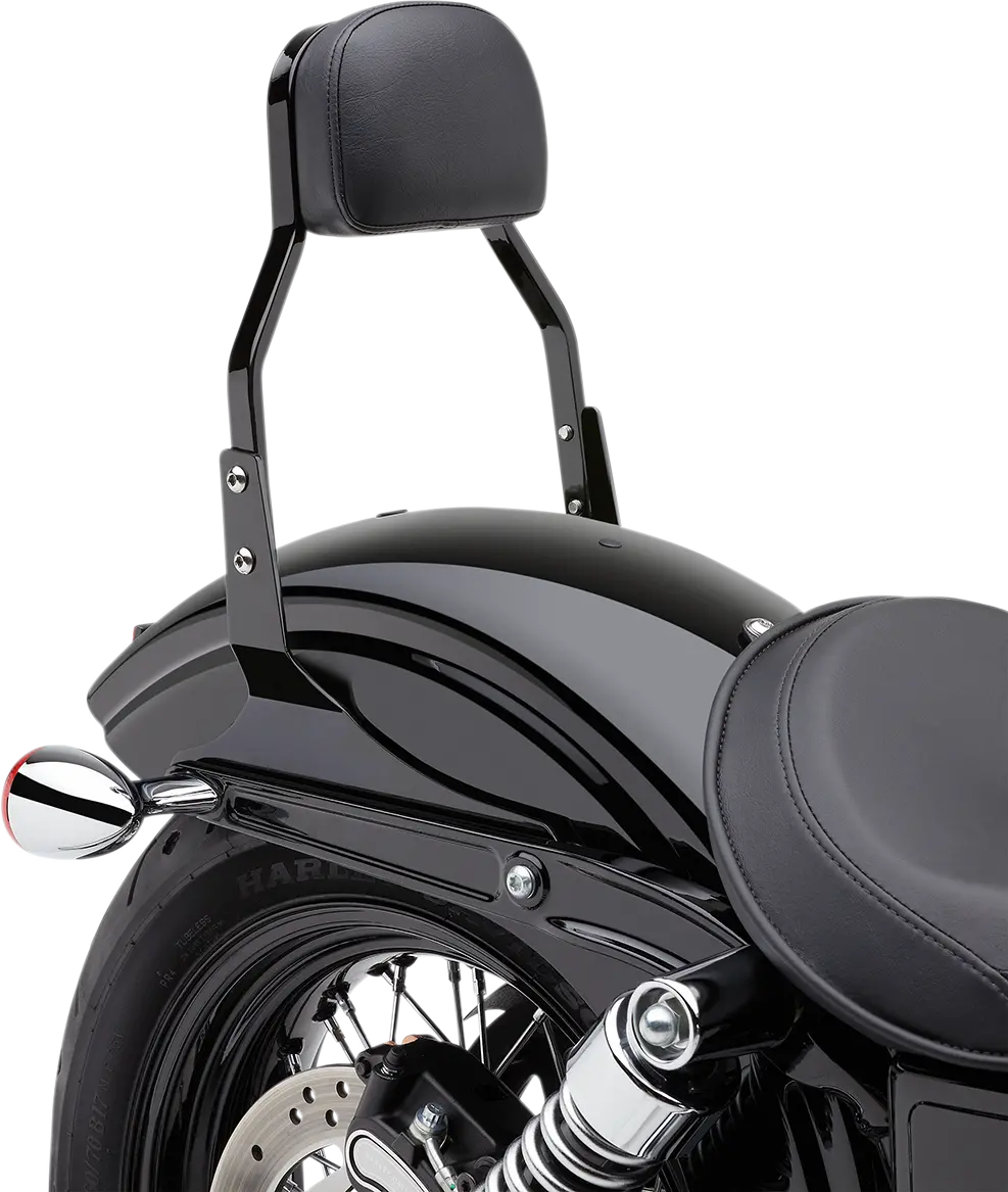Cobra Mini Sissy Bar 7