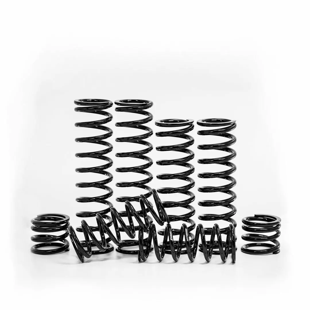 Dual Rate Spring Kit Hon 1