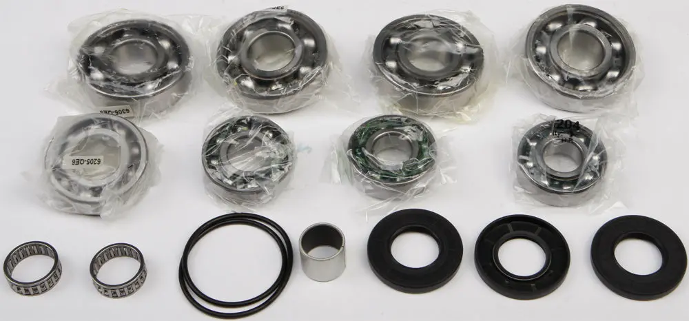 Differential Bearing And Seal Kit 11
