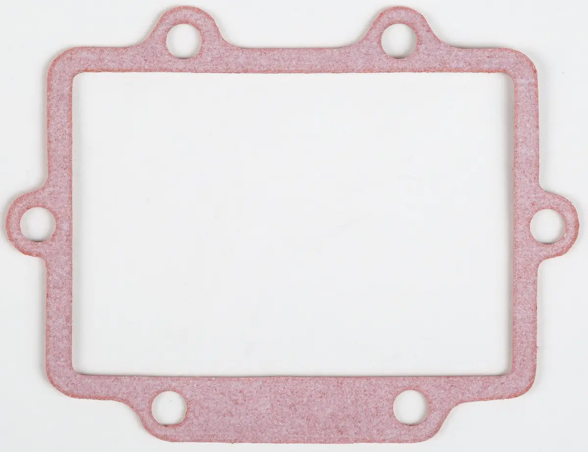 Motorcycle Rad Gasket 1