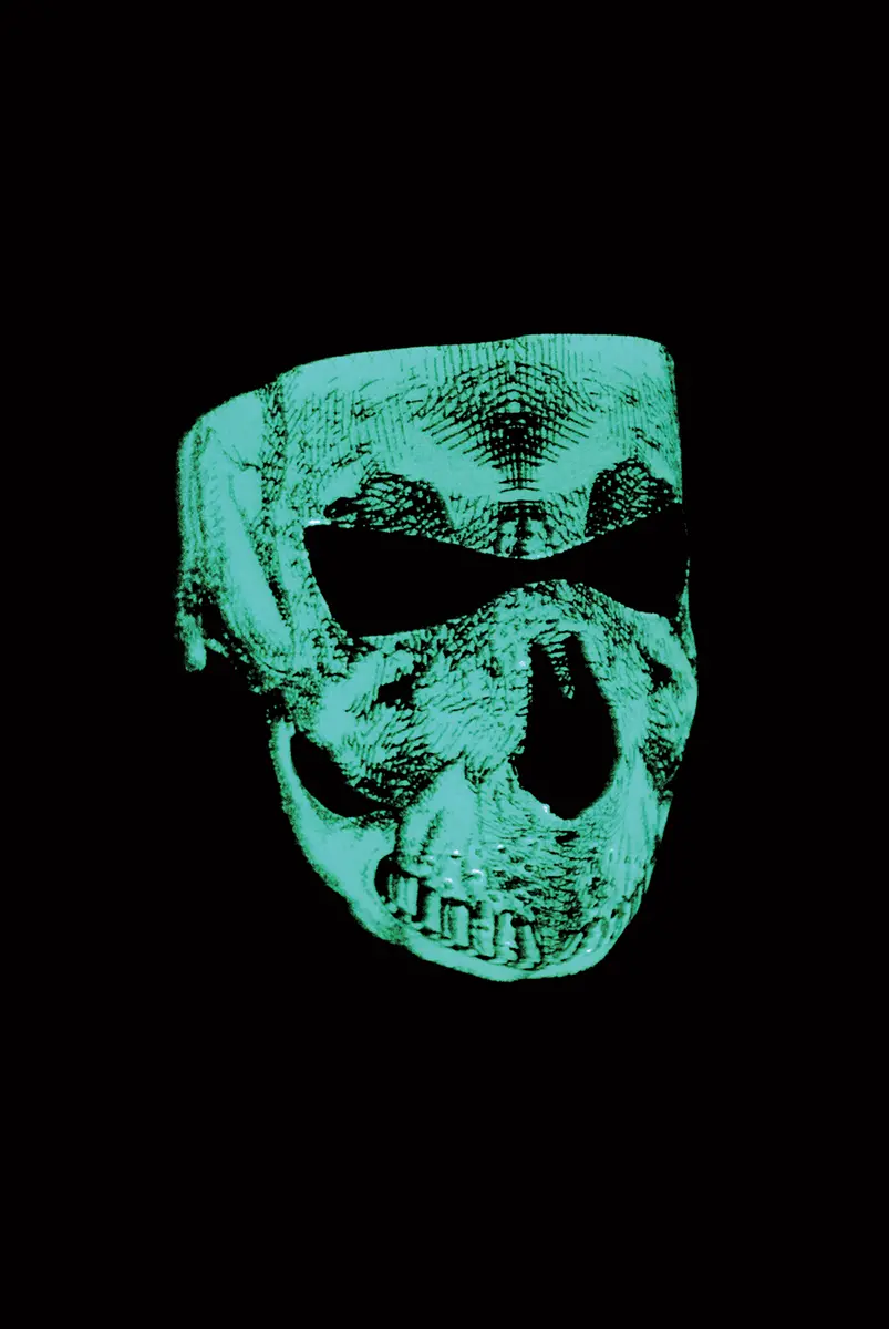 Zan Headgear Face Masks 37