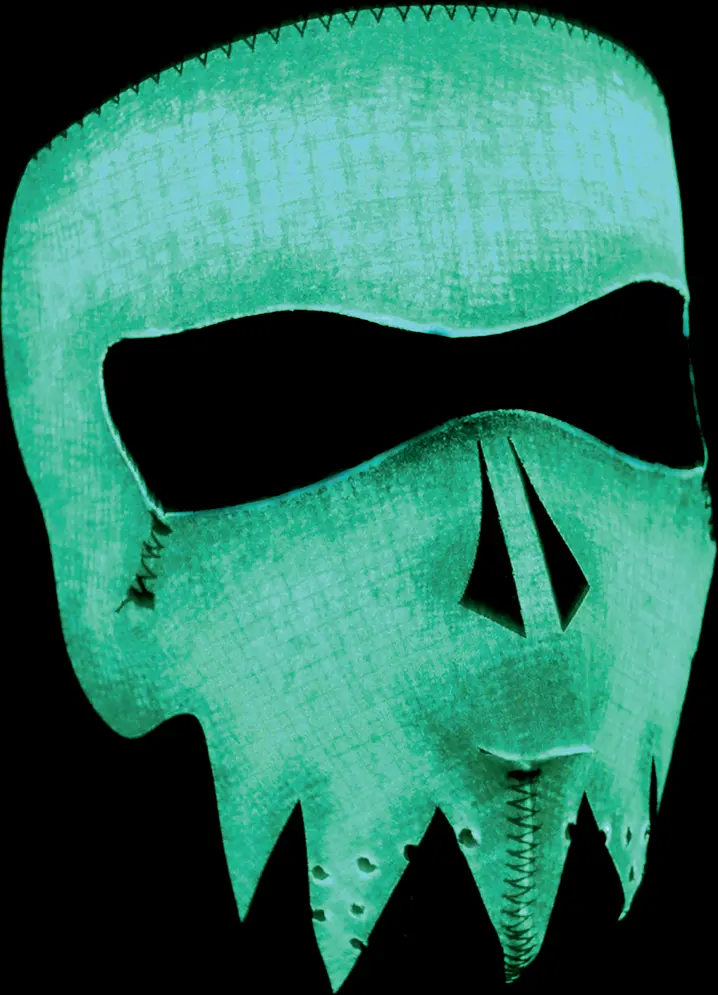 Zan Headgear Face Masks 30