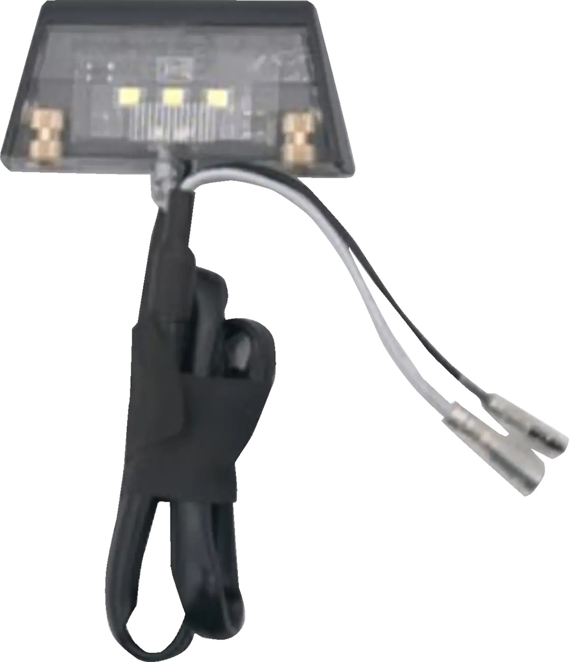 Ravek License Plate Light 59-227 1