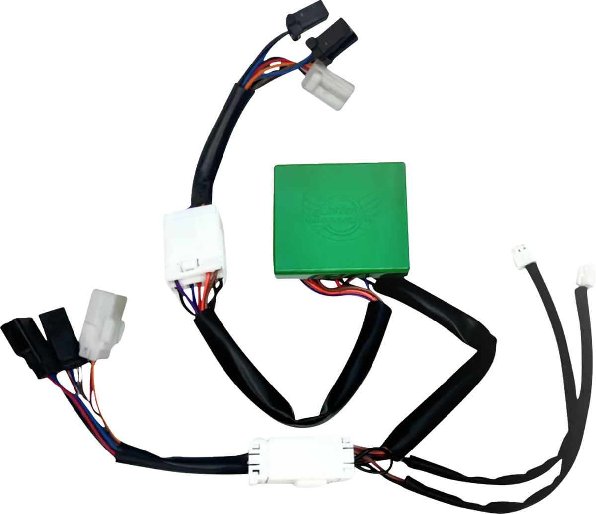 Custom Dynamics Smart Triple Play® Module - '14-'19 Sportster Cd-Stp-Bcmxl 1