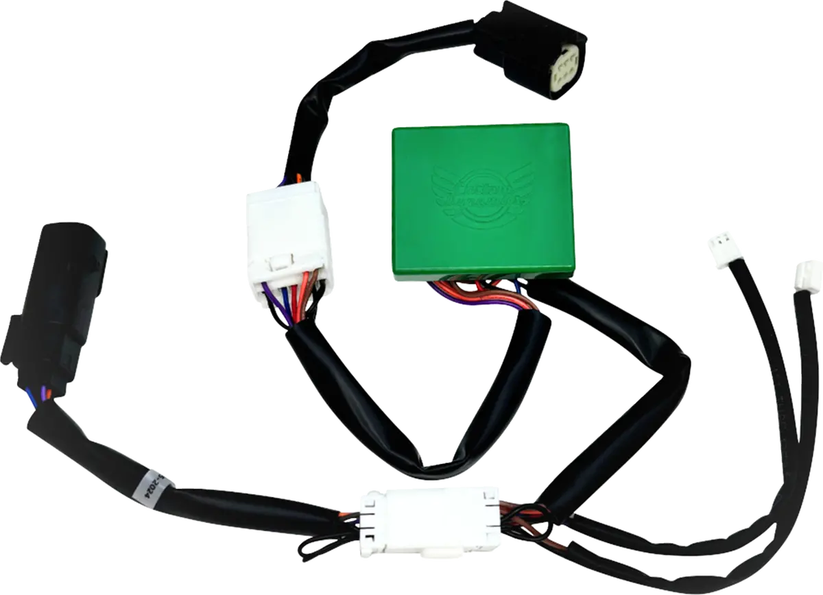 Custom Dynamics Smart Triple Play® Module - Harley-Davidson® Cd-Stp-23Tp 1