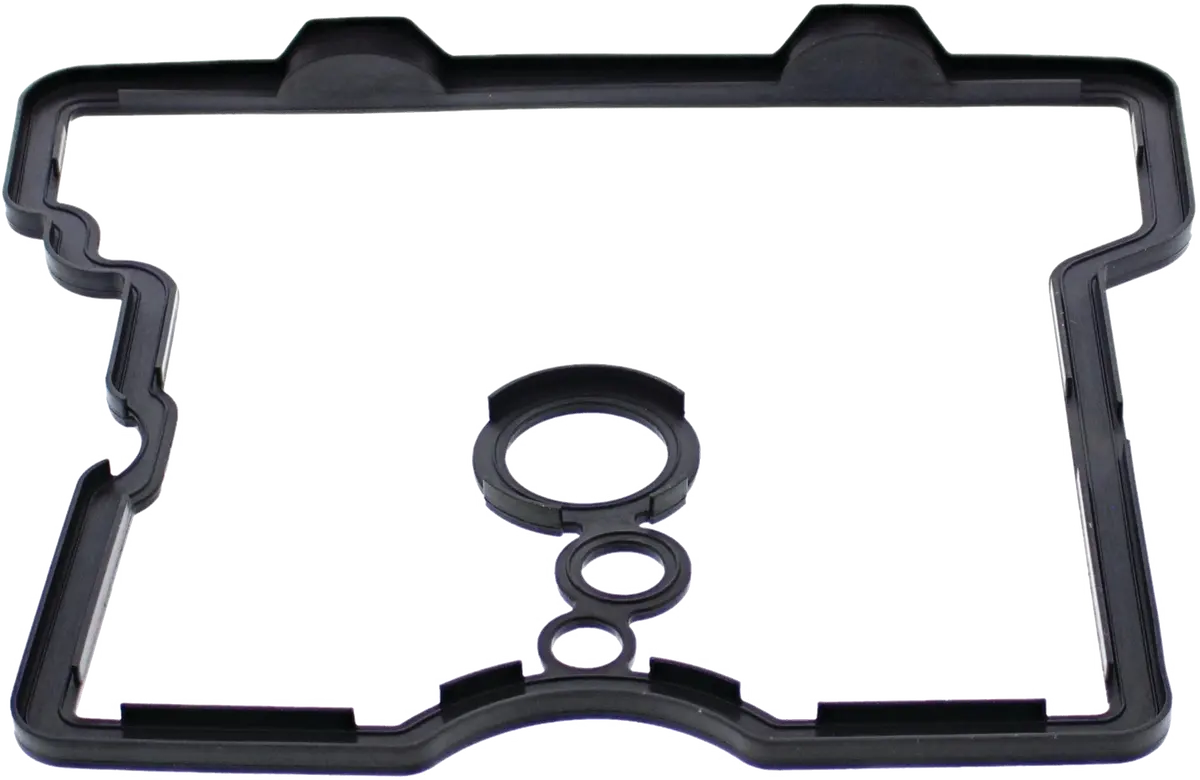 Valve Cover Gasket Pol 1