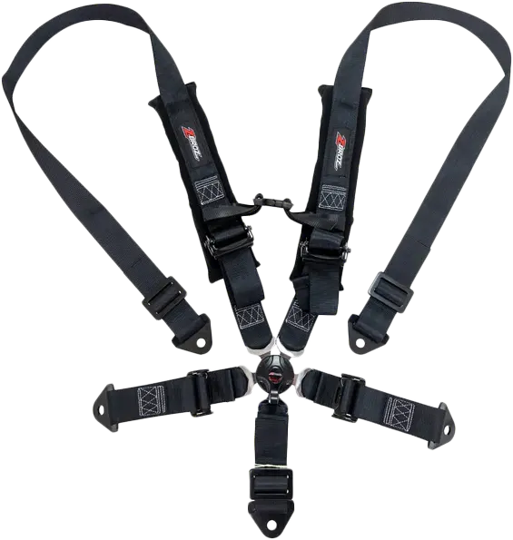 2" 5 Point Cam Lock Harness 1