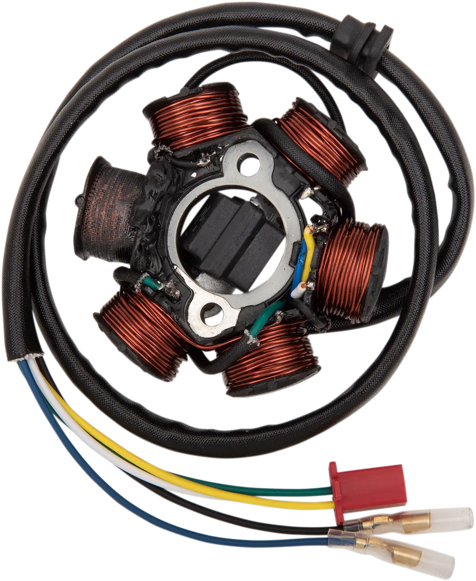 Rick's Motorsport Electric Stator - Can-Am 21-061 1