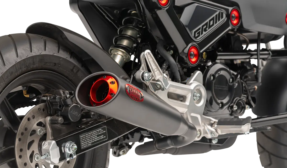 Cobra Slip On Exhaust With Tips 8