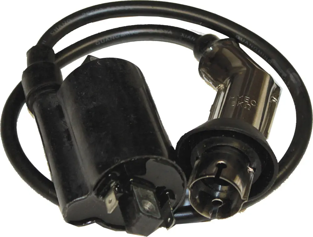 Ignition Coil 4 Stroke Gy6 250Cc/Fs300 1