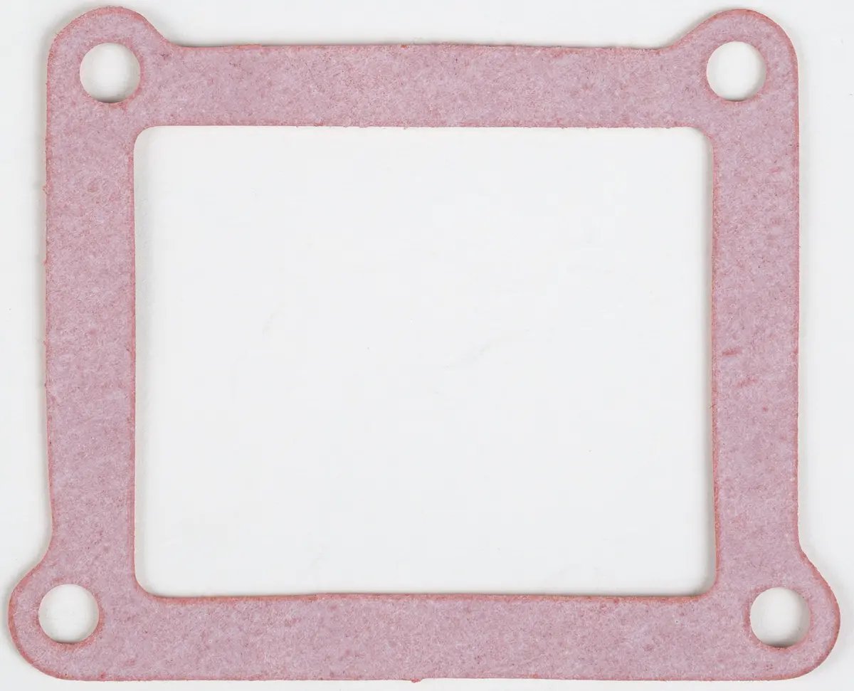 Motorcycle Rad Gasket 1