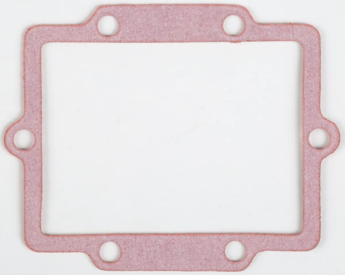 Motorcycle Rad Gasket 1