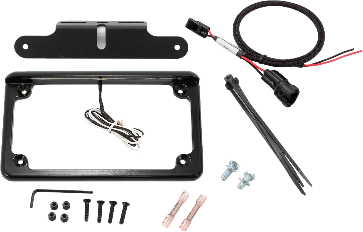 License Plate W/ Led 1
