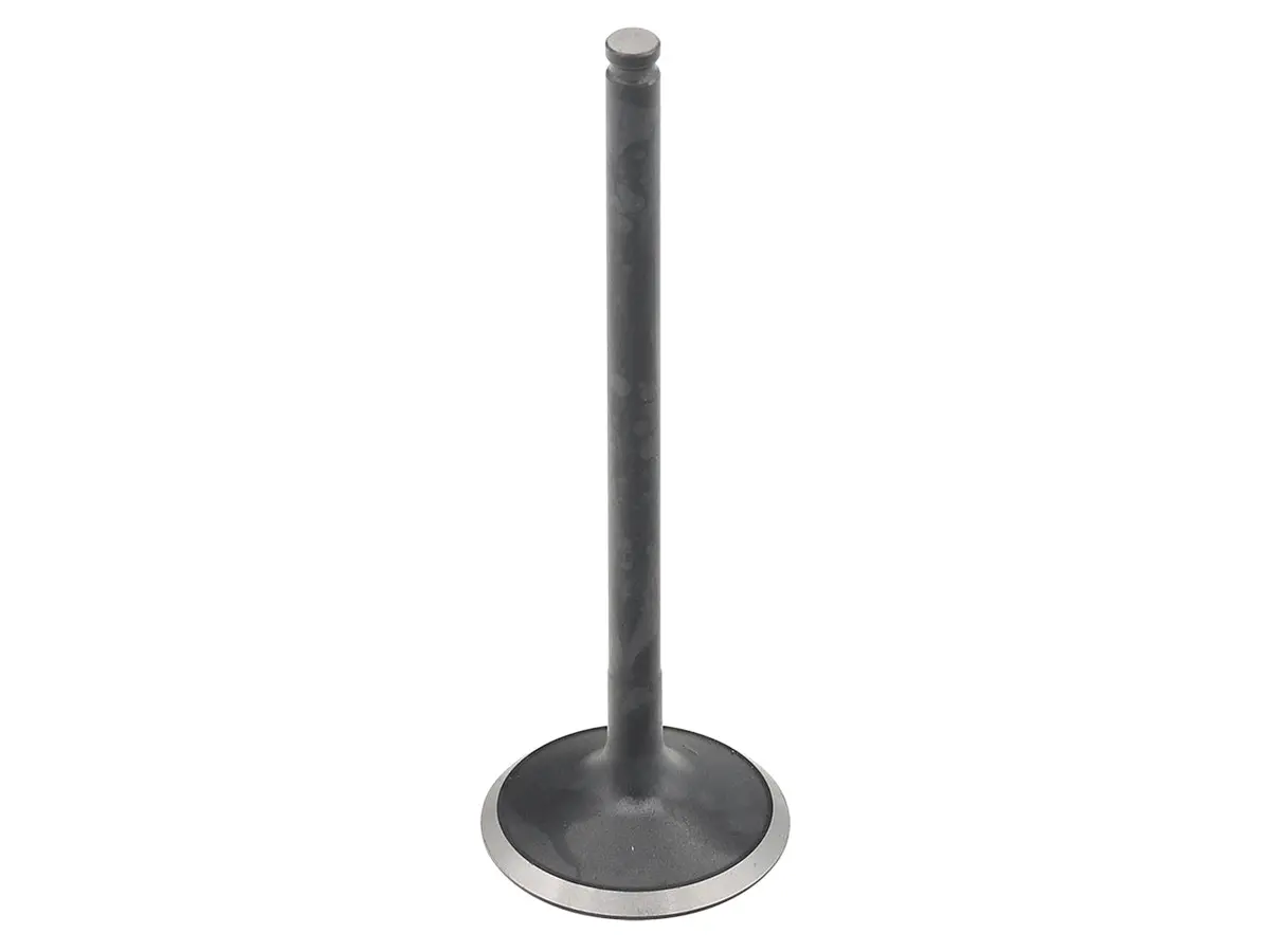 Exhaust Valve Pol 1
