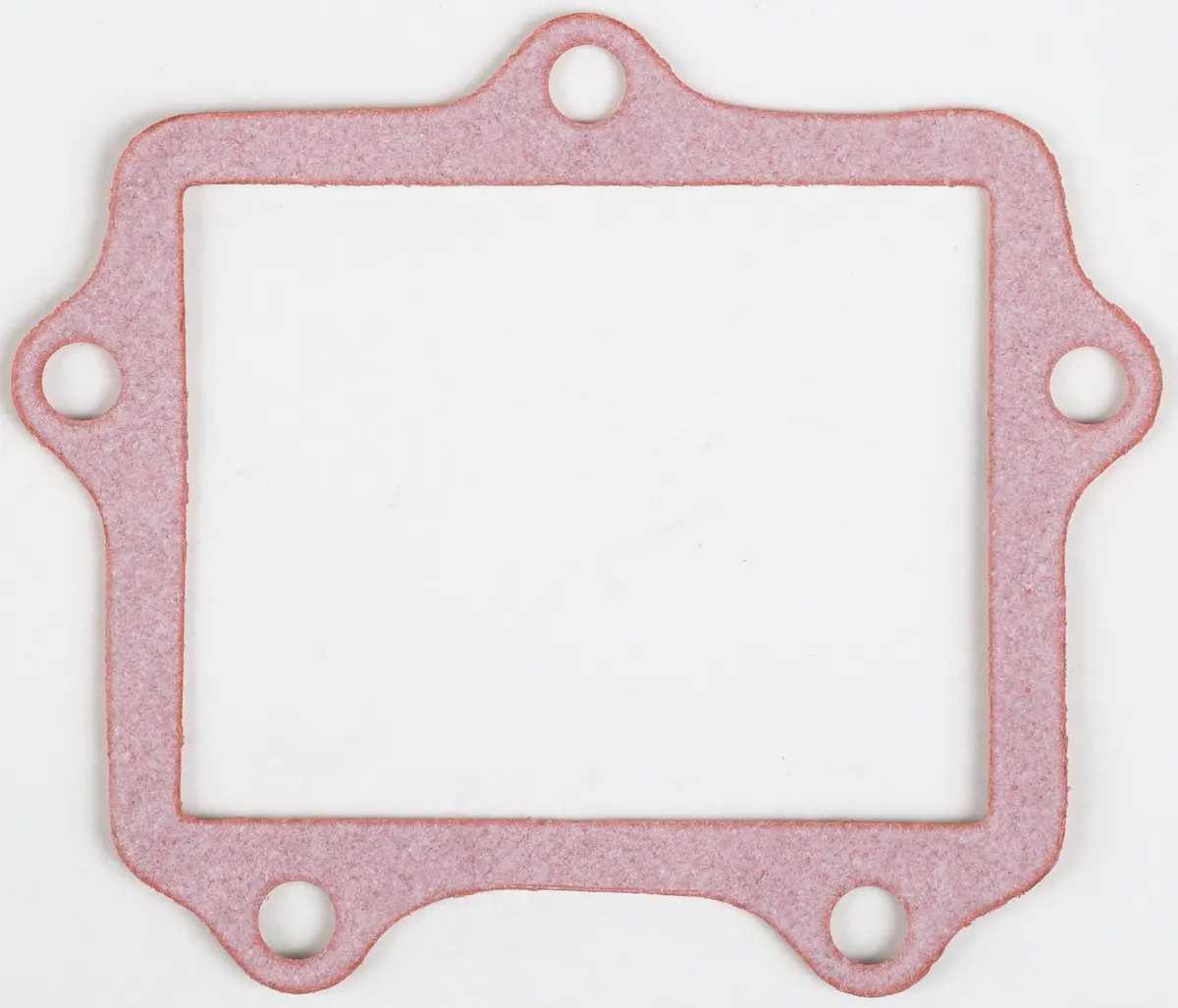 Motorcycle Rad Gasket 1