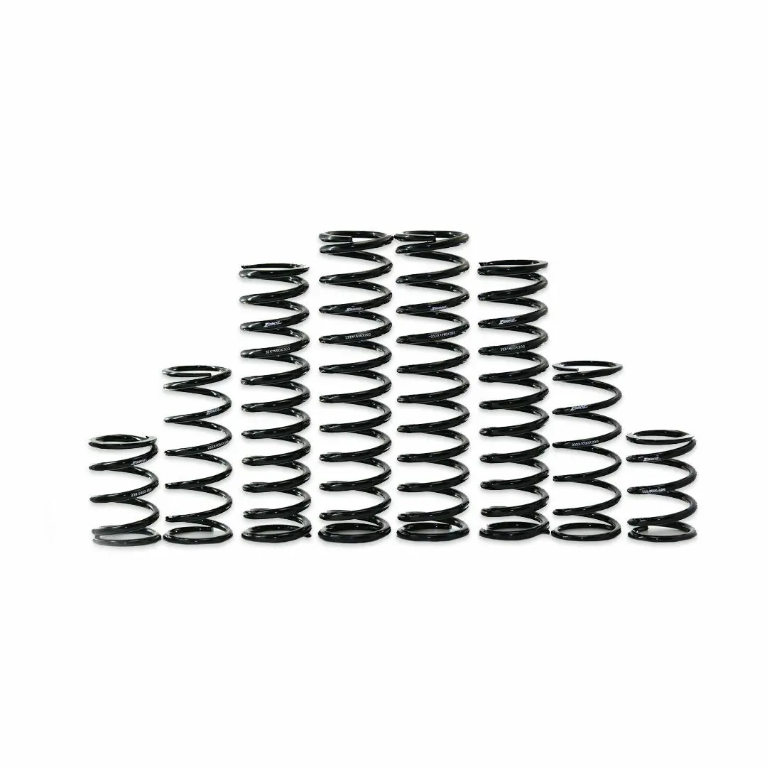 Dual Rate Spring Kit Kaw 1
