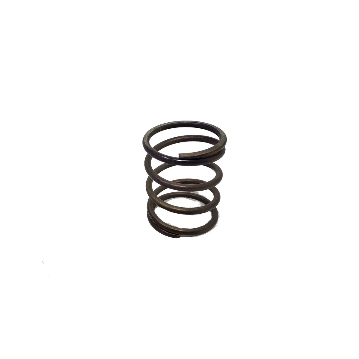 Wastegate Springs & Accessories 1