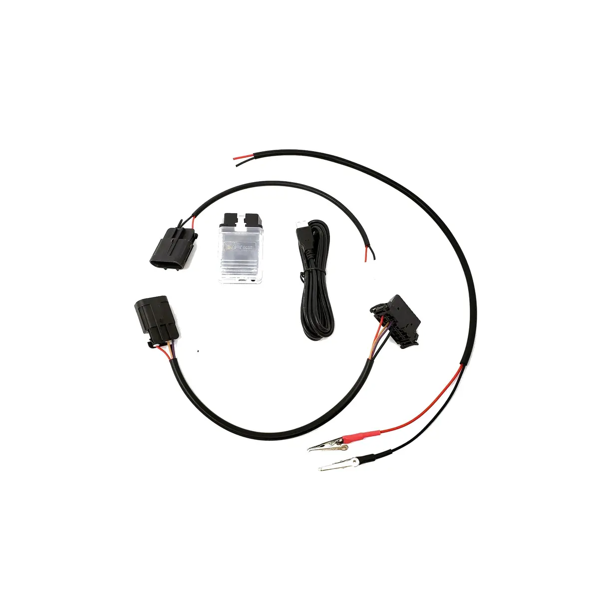 Silber Mobile App Reflash Cable & Licenses 1