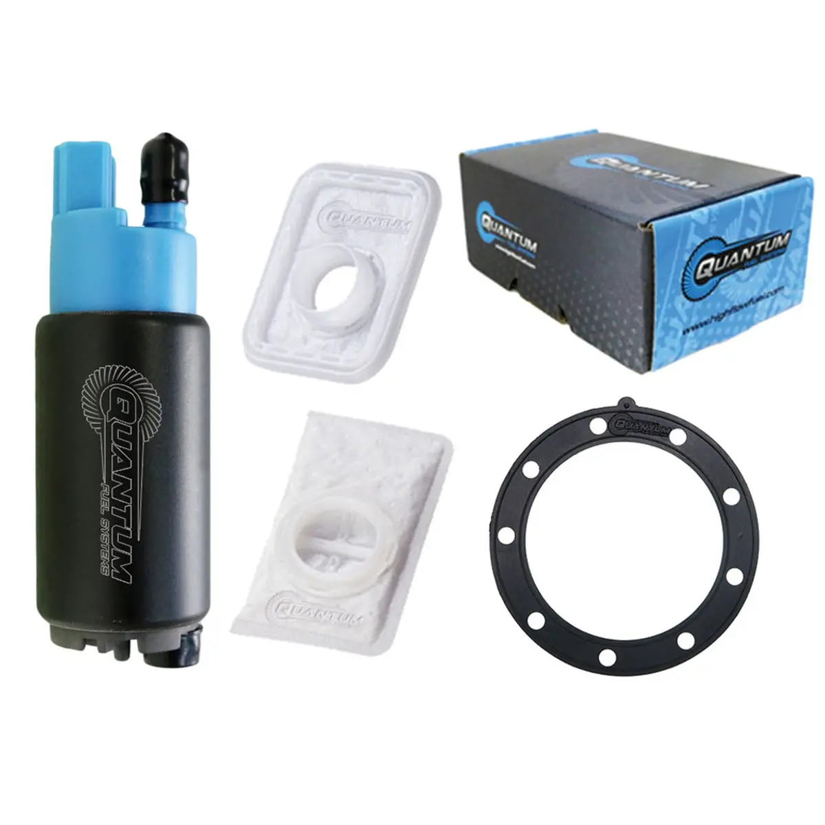 Fuel Pump Kit Pump  Seal  Strainer 1