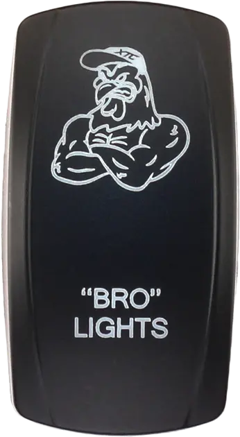 Dash Switch Rocker Face Bro Lights 1